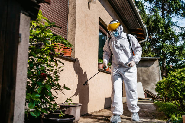 Best Best Pest Control Companies  in Armada, MI