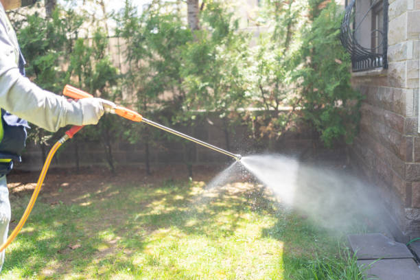 Best Flea Control Services  in Armada, MI
