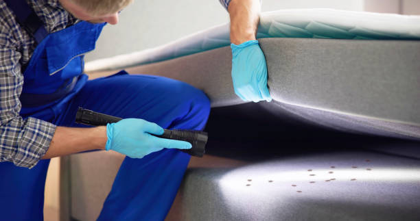 Best Bed Bug Extermination  in Armada, MI