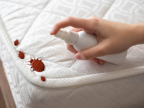 Best Ant Control Services  in Armada, MI