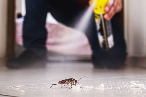 Best Local Pest Control Services  in Armada, MI
