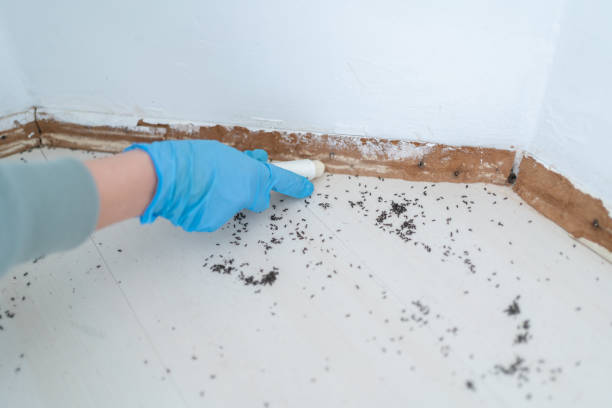 Reliable Armada, MI Pest Control Solutions